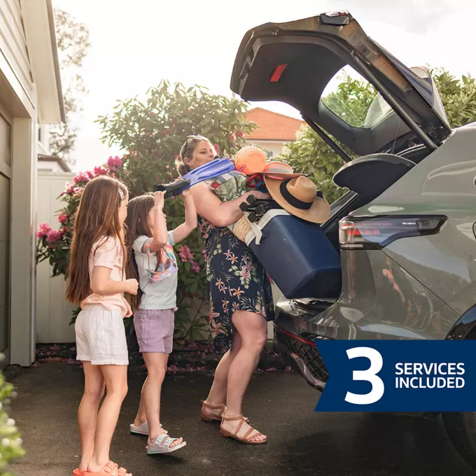 3 Services Included Qlk Grid