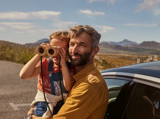 Motor Vehicle Insurance